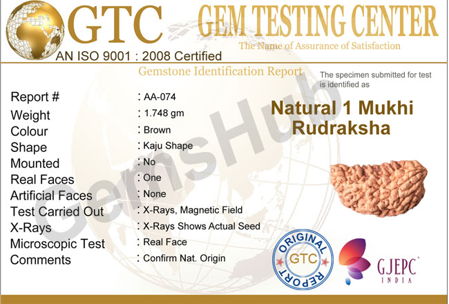 1 Face/Mukhi Certified Rudraksha 29.90 mm